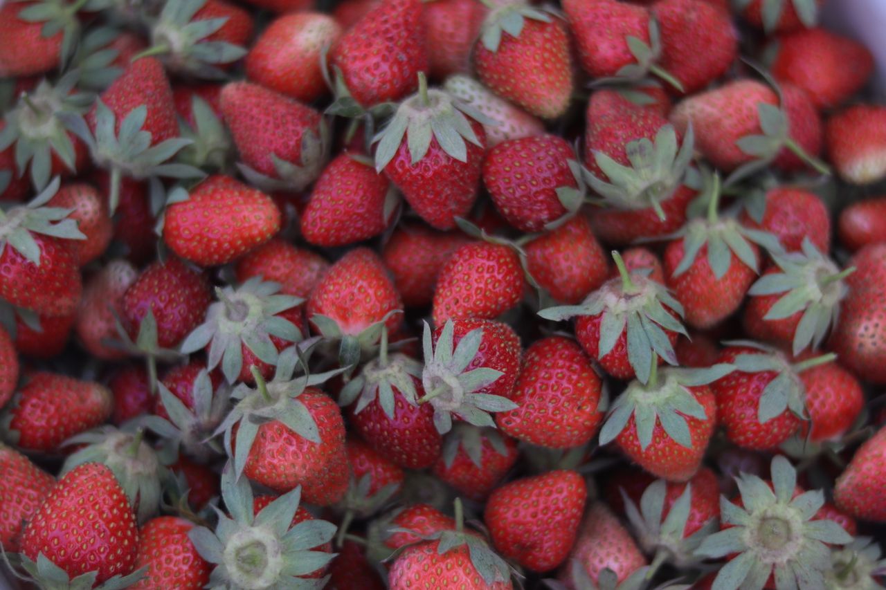 A vibrant close-up of fresh red strawberries, perfect for food and culinary uses.